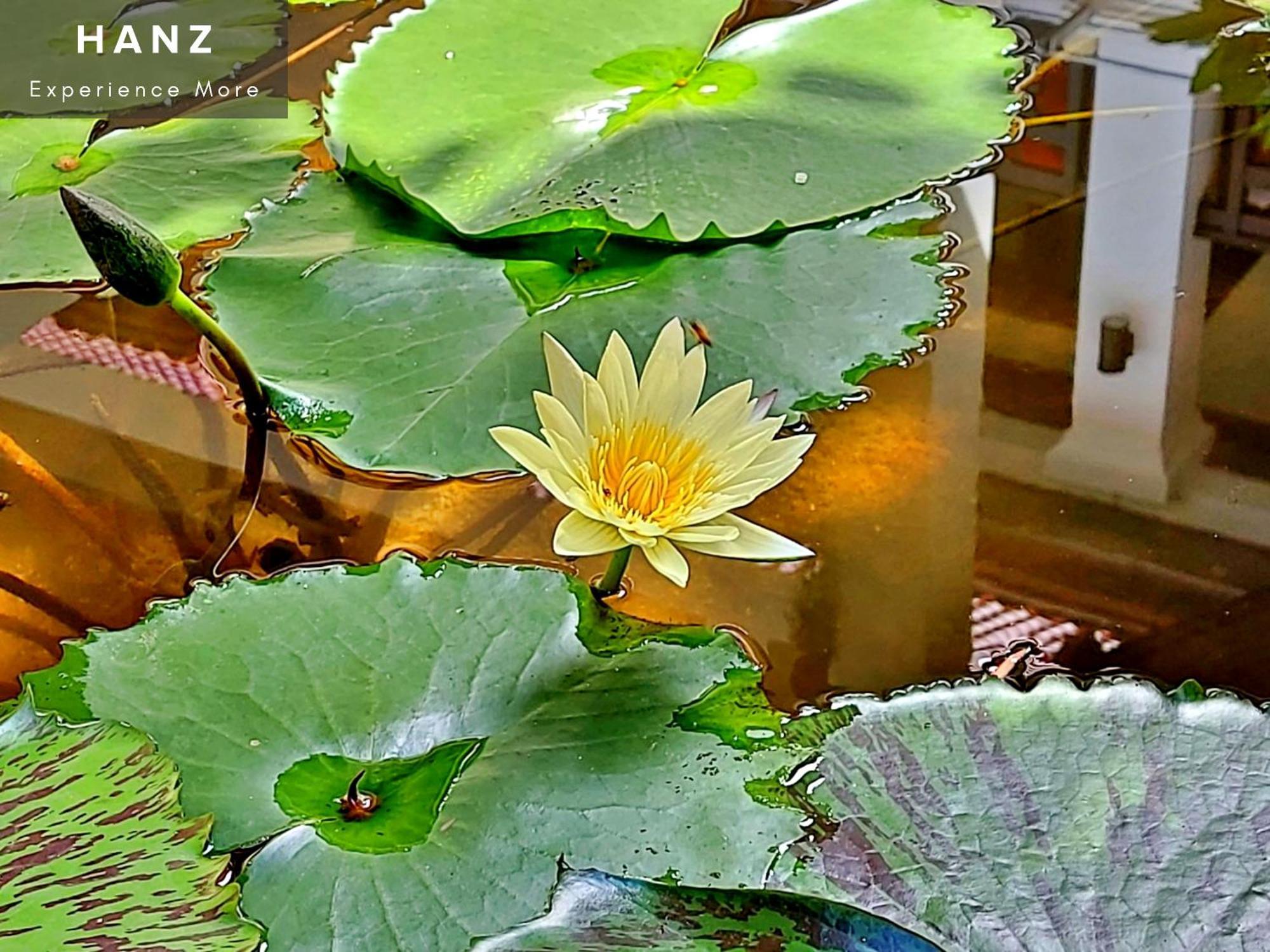 Sunrise Luang Prabang Hotel Eksteriør billede