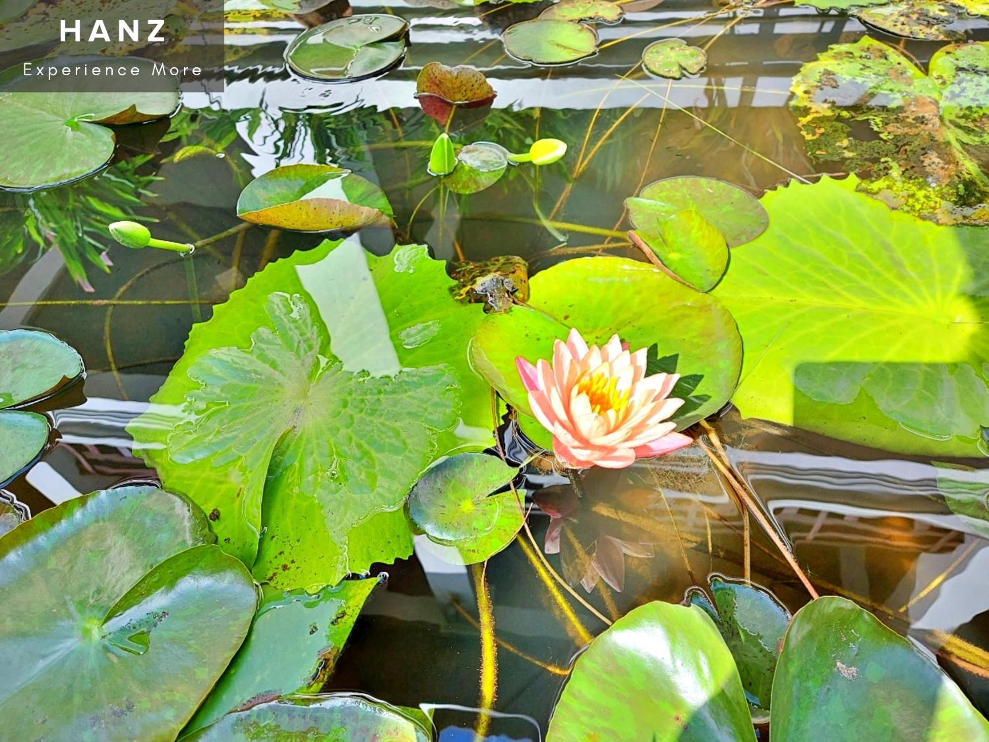 Sunrise Luang Prabang Hotel Eksteriør billede